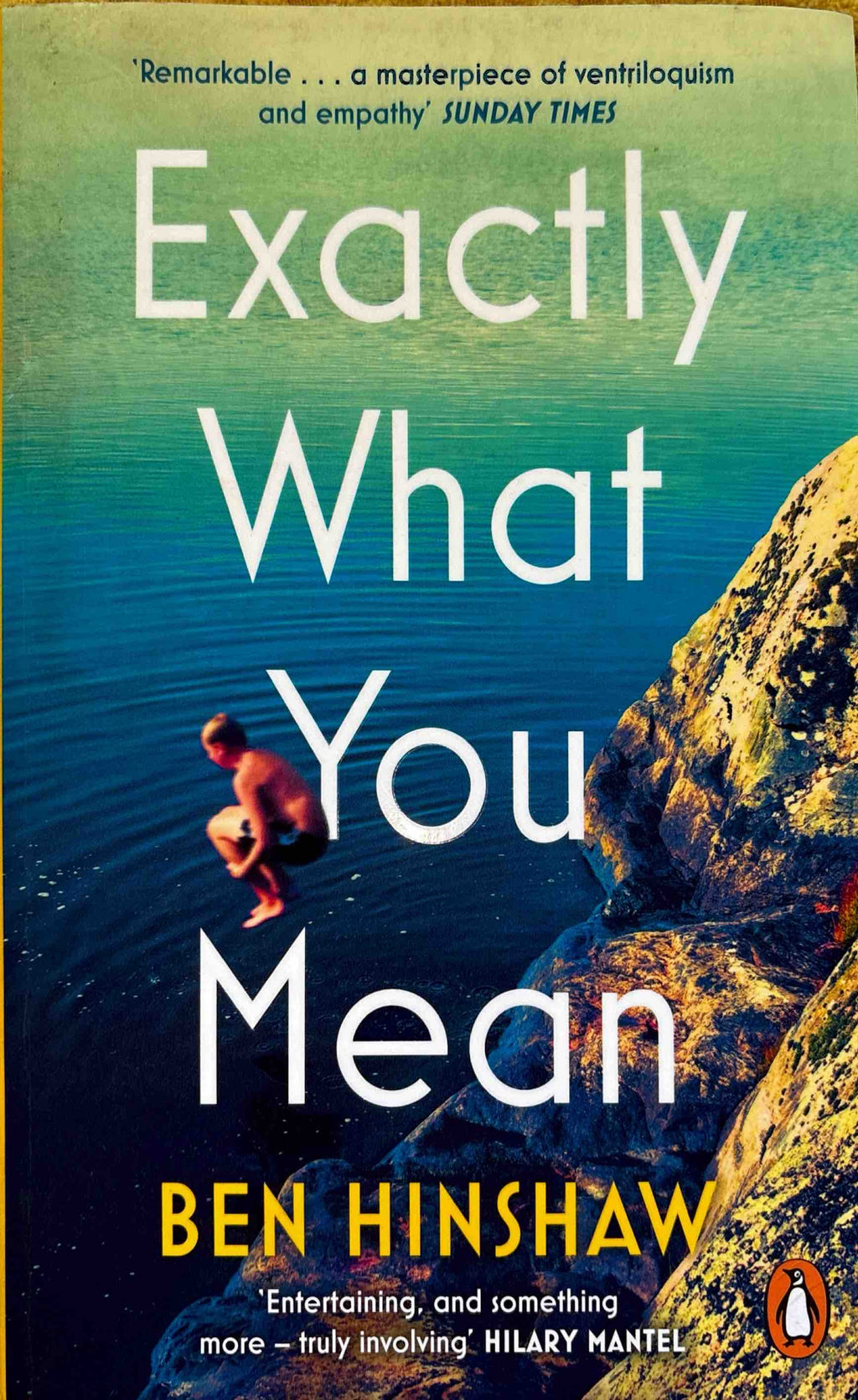 Exactly What You Mean - Ben Hinshaw