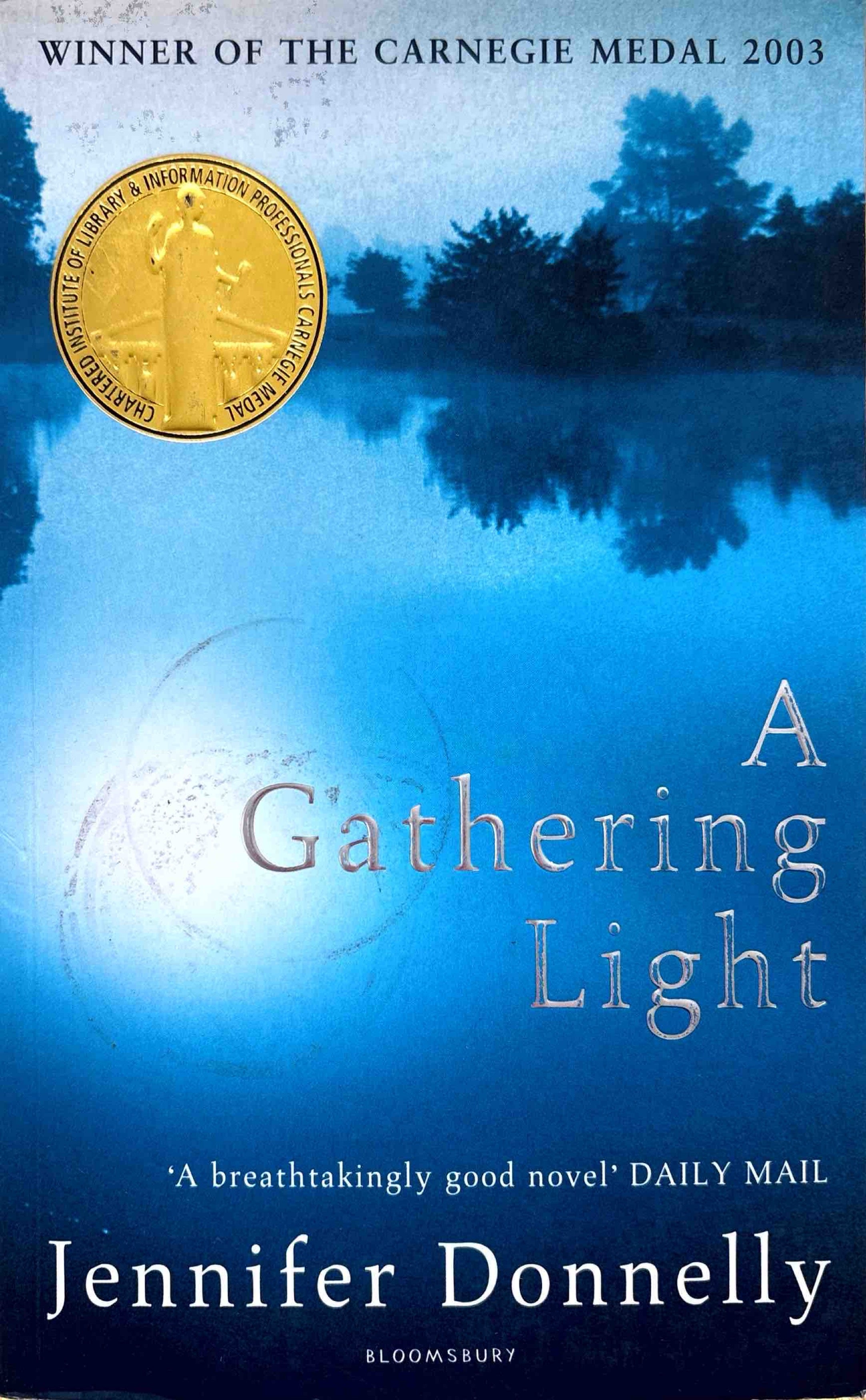A Gathering Light - Jennifer Donnelly