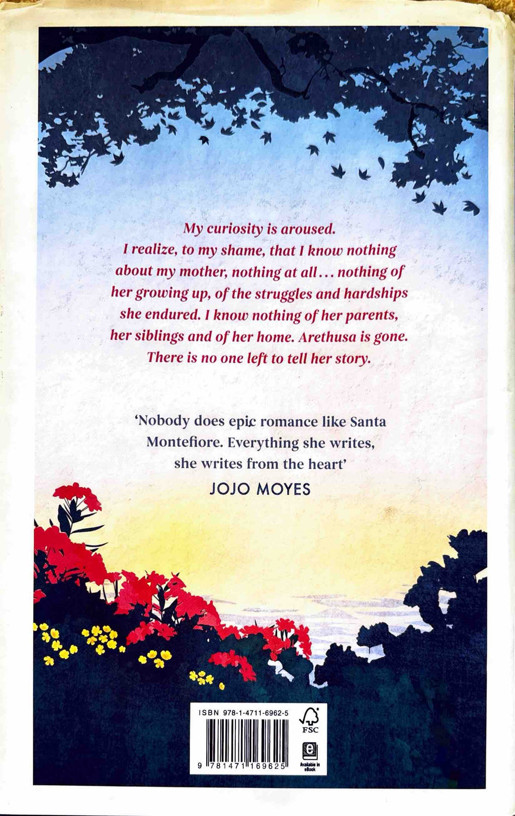 The Secret Hours - Santa Montefiore