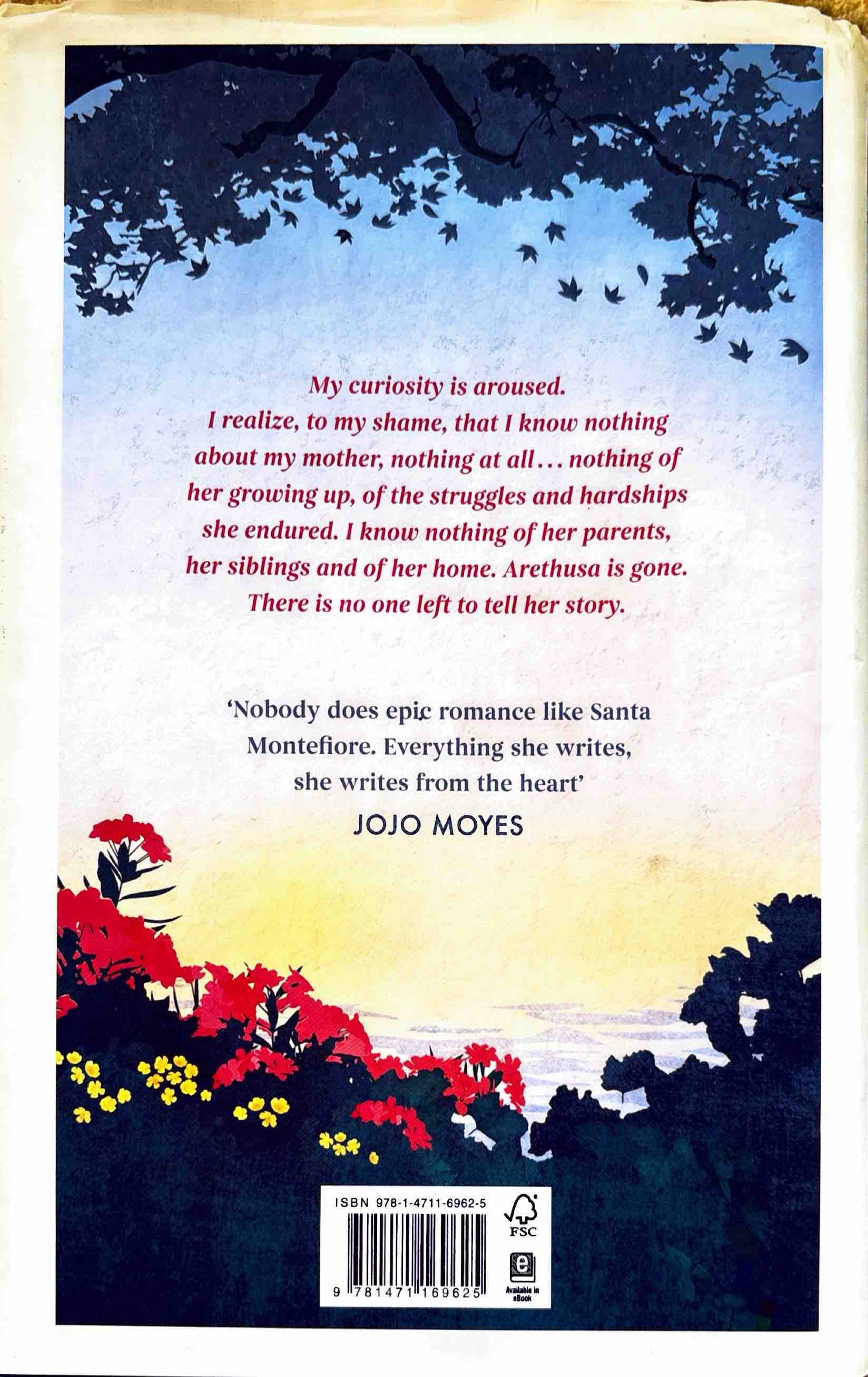 The Secret Hours - Santa Montefiore