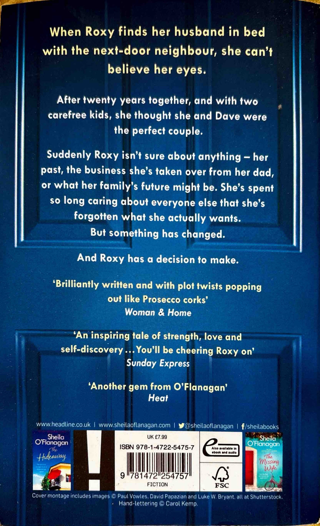 Her Husband’s Mistake - Shiela O’Flanagan